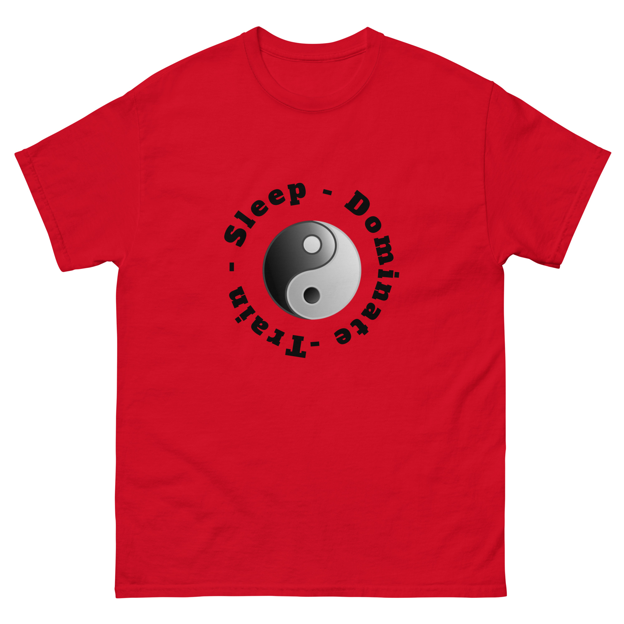 sleep, train, dominate - martial arts tshirt